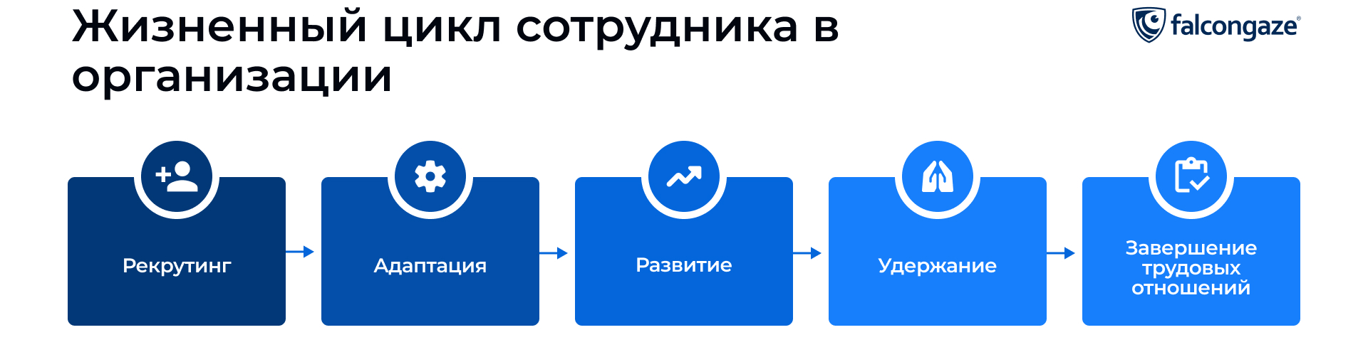 Жизненный цикл сотрудника на предприятии